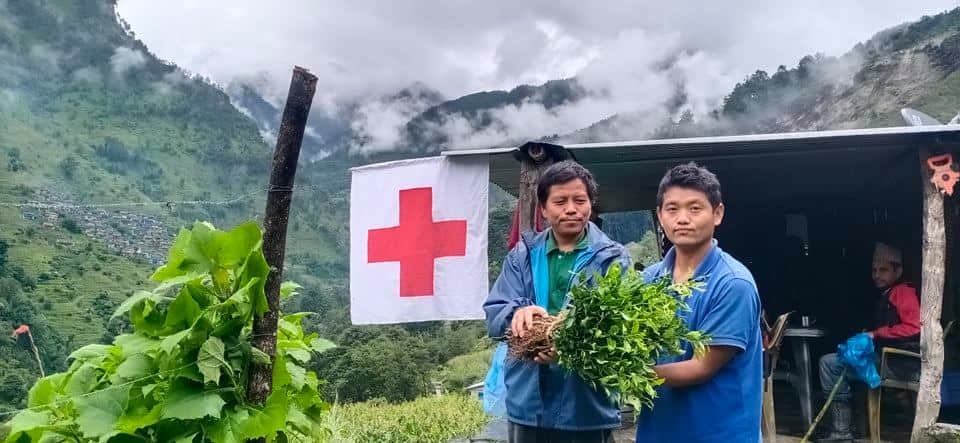 me_sameer0's tweet photo. @NepalRedCross Myagdi District Chapter,Community livelihood promotional project supported by @irishredcross distributed orange plants to farmers at project area.  CLPP conducting training &amp; distributing plants of high value cash crops to farmers. 
#BetterLivelihood https://t.co/z0nUttsD0q