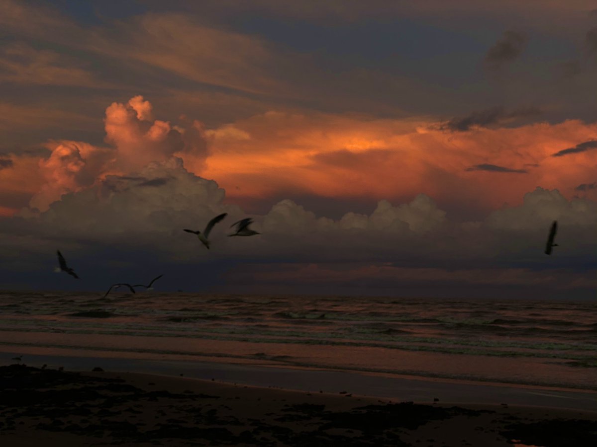 KrispyCorazones's tweet photo. @SobiaHussain1 @KHOU Took this at Galveston 🥺 https://t.co/tHheVDhPGA