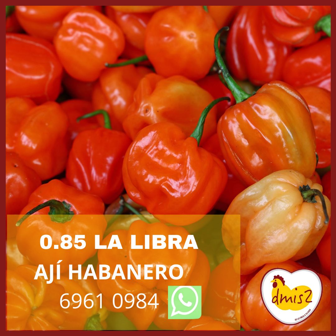 Para tus picantes y ceviches