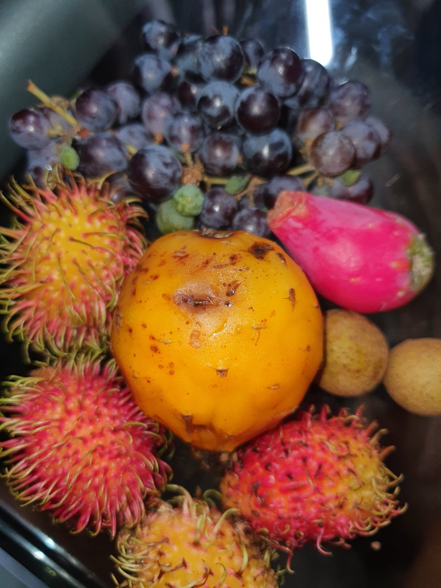 Sparkiebaby's tweet photo. Shout to Sxotiqmedium for the #fruit delivery. Talk bout #customerservice
Whatsapp to place your order (876) 898-4927 #rambutan #grapes #longans #yellowdragonfruit .
Supporting #SmallBusiness #Jamaica ๐ฏ๐ฒ๐ฏ๐ฒ https://t.co/p4mXlMnHLG