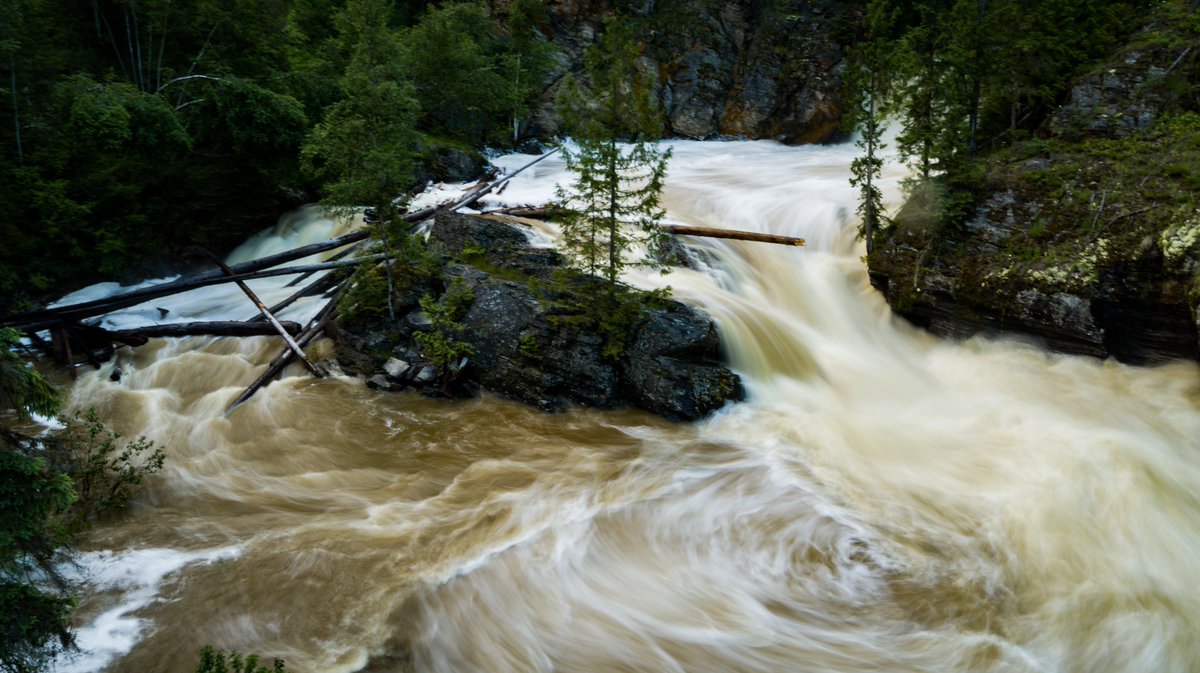 JoshTraubMedia's tweet photo. Kyaking, biking, and hiking! Hope you had a fun weekend 🇨🇦📸🇨🇦                        #lovewhereyoulive #Canada #photography #outdoors #nature #gopro #hero8black #dji #drone #longexposure #sports #mtb #kyak https://t.co/fnSIENz3iz