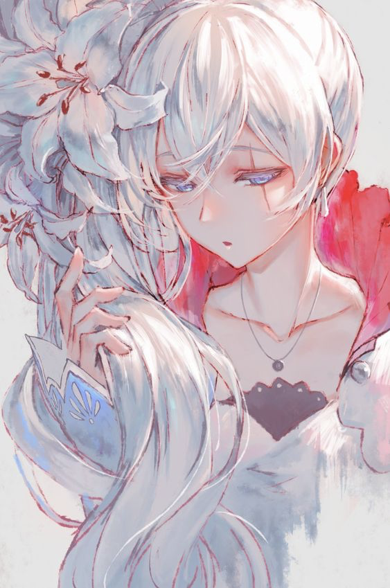 Weiss Schnee tweet media