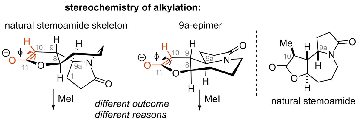 Check out our latest total synthesis and my final piece of PhD work from @uniofjyvaskyla @jyscience in Synlett! Unexpected lessons learned in very subtle stereocontrol elements. Shout-out to @danielcsokas and @RCNSTheoChem for the DFT collab.

thieme-connect.de/products/ejour…