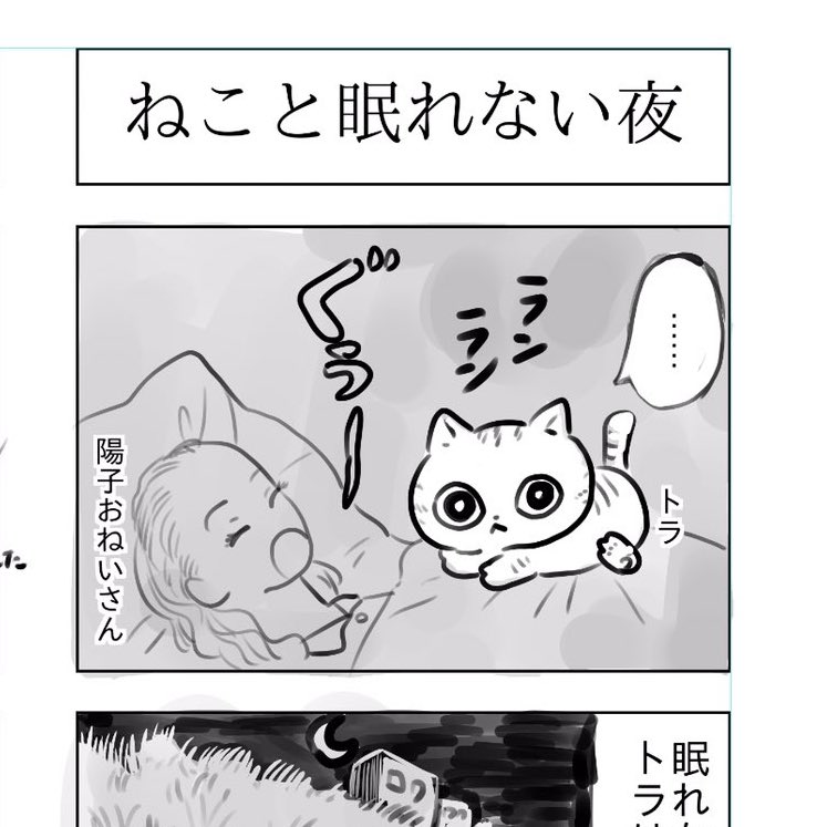 今日のトラと陽子、予告!
今宵…トラが眠れなくなる…
乞うご期待 