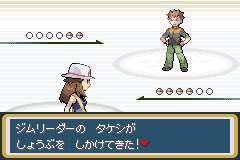 ポケモンリーフグリーン