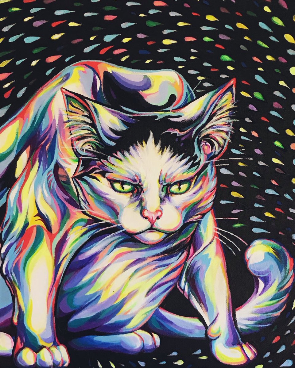 Works_by_Cam's tweet photo. Cat portrait commission completed. Tried my best to capture the GRUMPY 

#petportrait #commission #cats #CatsOfTwitter #acrylicpainting #my200vsbutch200 https://t.co/x0lvmfP7Oi