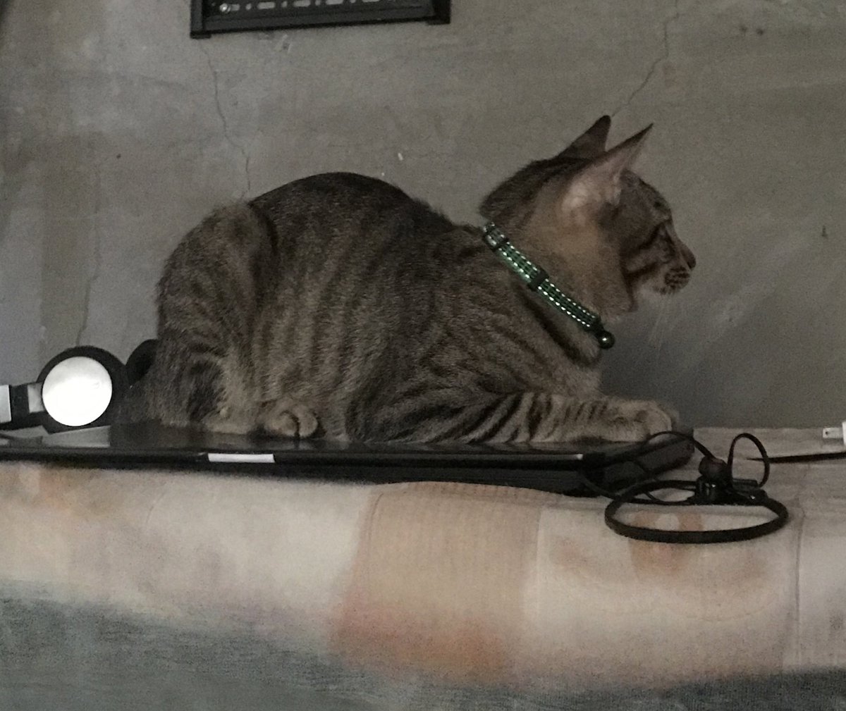 14. Kanina lang. Pagtingin ko ganyan palang sya (1st pic) tapos pagbalik ko ng kwarto 