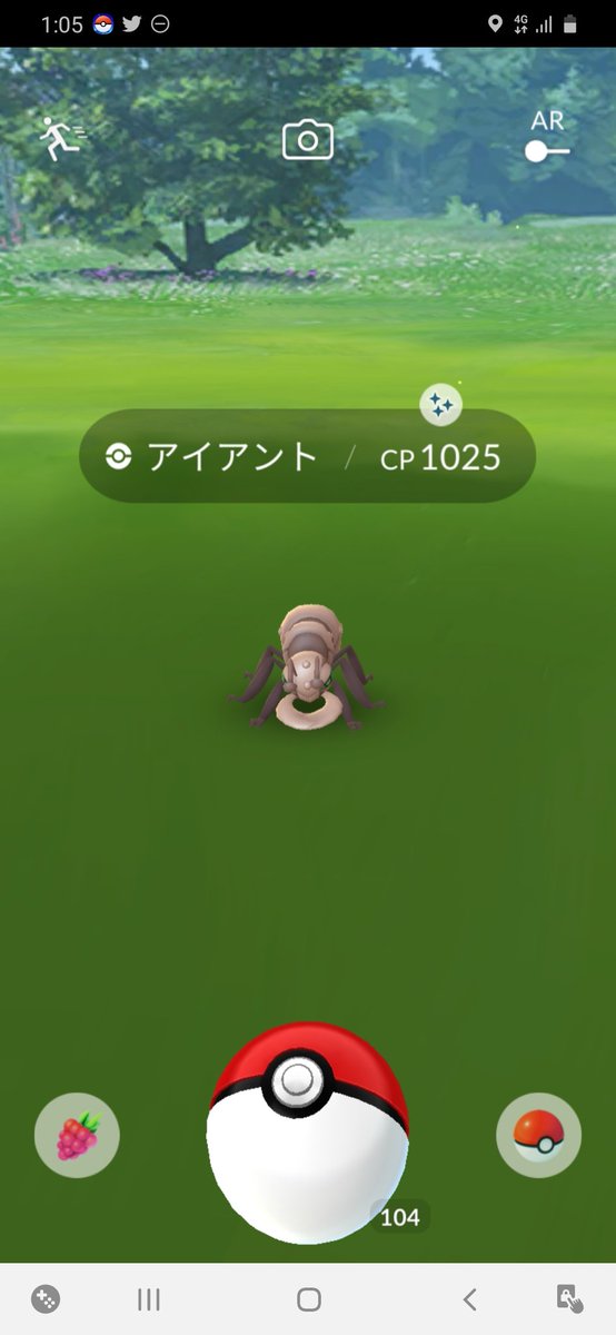 色違いアイアント 色違いアイアント