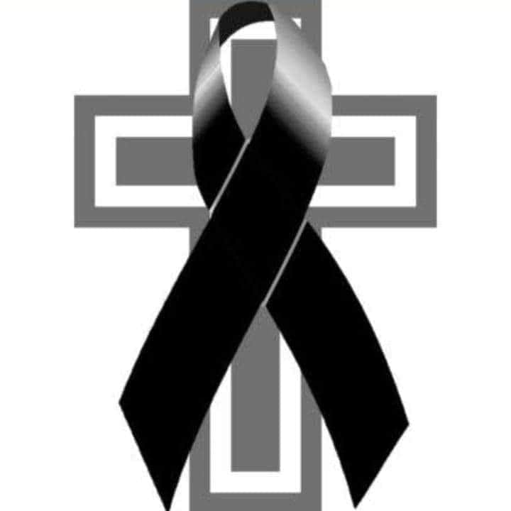 Fedessp Veracruz tweet media