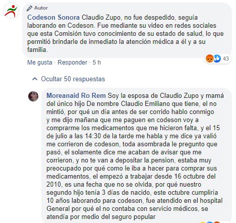 El Cuco tweet media