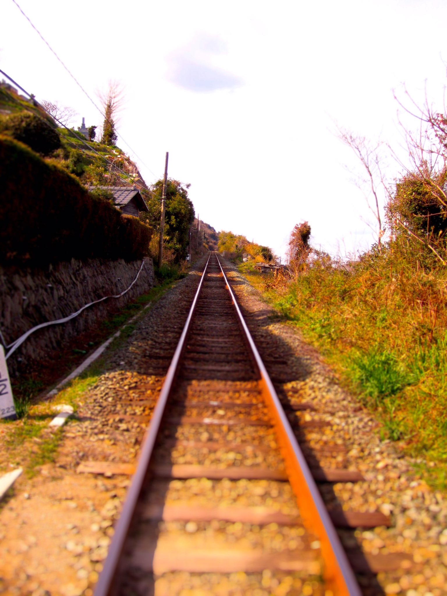 Pap Poco A Poco 線路のある風景 線路は続くよどこまでも 電車 線路 写真 Train T Co Qvgcrvul4l Twitter
