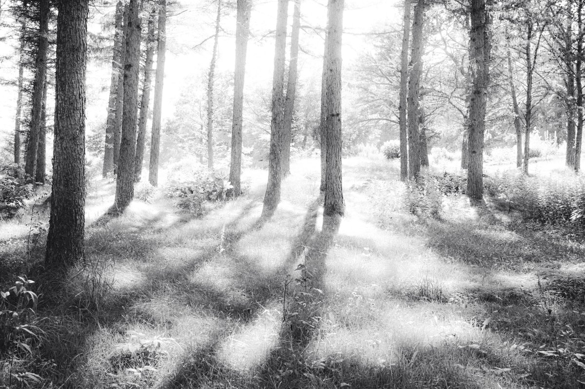 hiloaki_k's tweet photo. 陰。
#coregraphy #landscapesnap https://t.co/J1nUVFYmMI