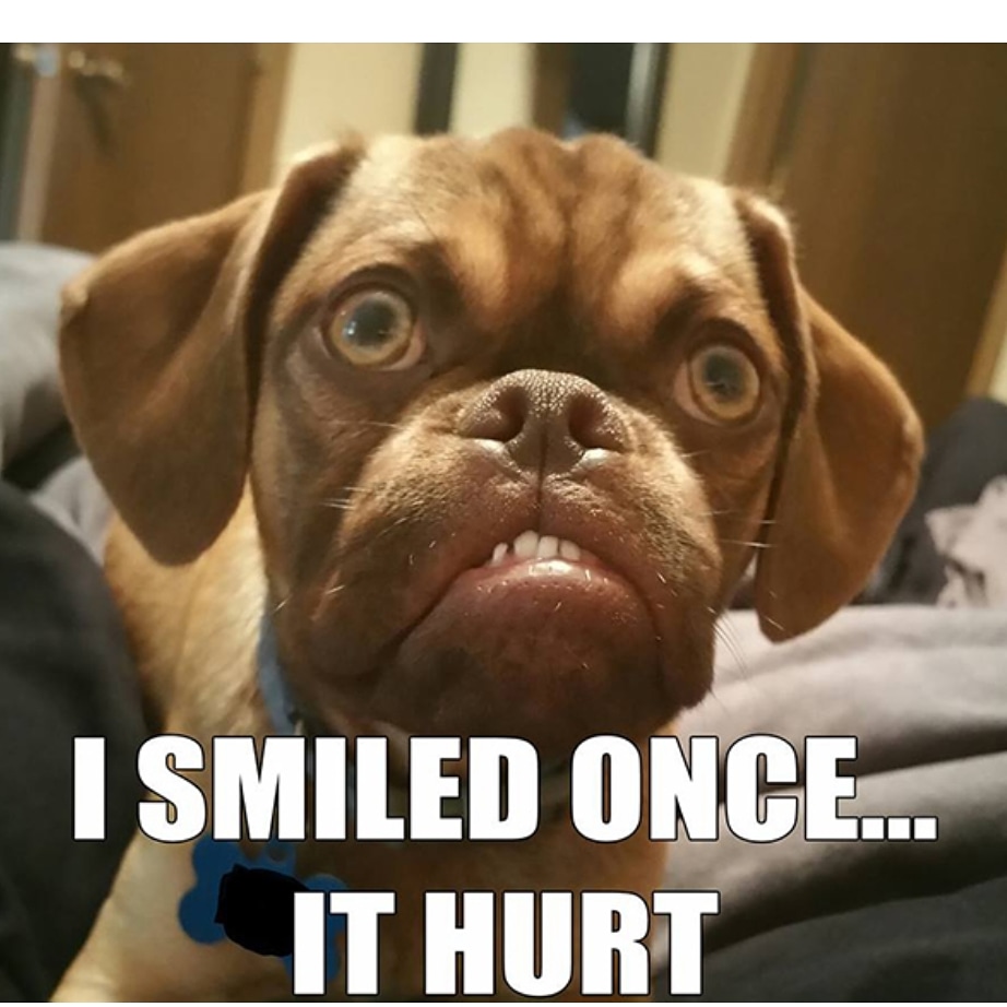 worldgrumpy's tweet photo. #adayinthelifeofstilesthebully #cute #englishbulldog #englishbulldogs #englishbulldogsofinsta
#englishbulldogsofinstagram #bulldog #bulldogs
#bullylove #bullybreed #bulldogsofig #bulldogsofinsta #bulldogsofinstagram #dog
#dogmom #dogs #dogsofig #dogsofinsta #pets #petsagram https://t.co/uv9UiMGuFV