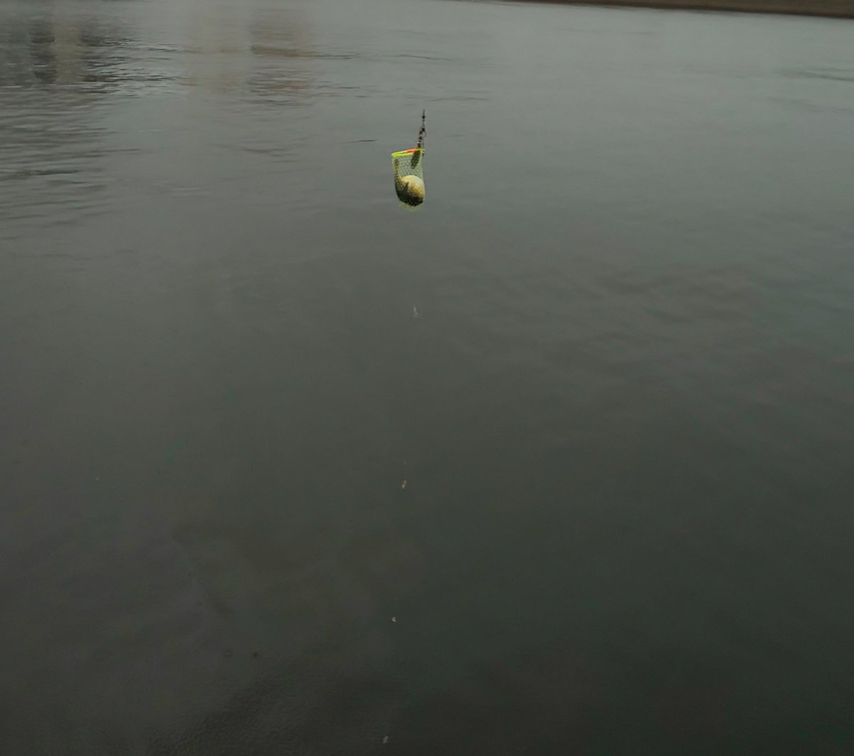 横浜南部の釣り場
2時～7時
曇りのはずが豪雨数回…

アジ　6
豆アジ　52
サバ　17
ウミタナゴ　1
アカオビシマハゼ　1
チダイ？　1
がっついてるフグ

謎の魚はチダイですかね？？
こませ袋にフグが入ってて膨らんで取れず最悪でした🤣🤣🤣