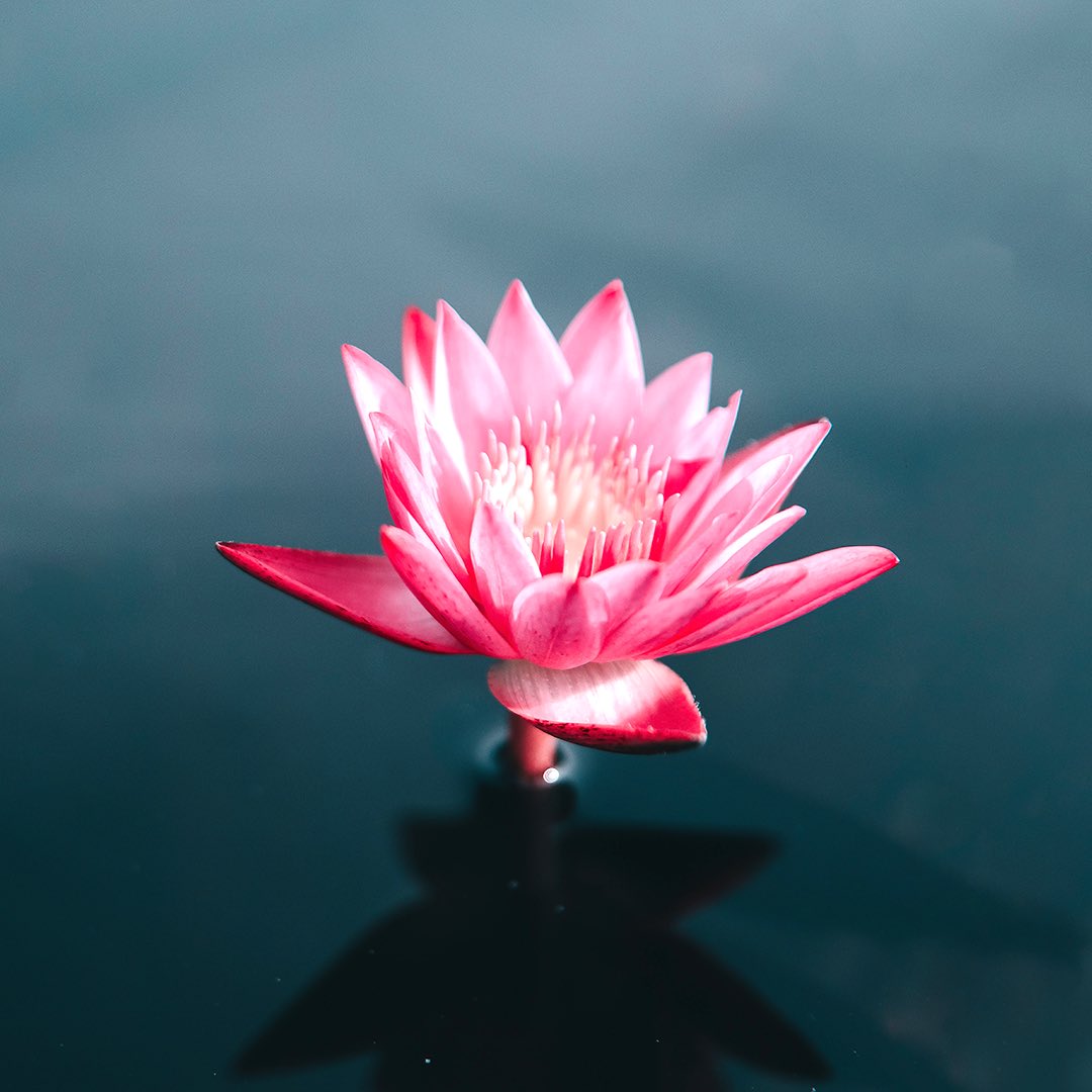 xGoldenQueen's tweet photo. These treatments are designed to rejuvenate, relax and replenish your beauty within. 

We are committed to provide an exceptional beauty experience for you. 

We look forward to welcoming you and hope that you will have an unforgettable experience with us. https://t.co/UP5w3SGzaE