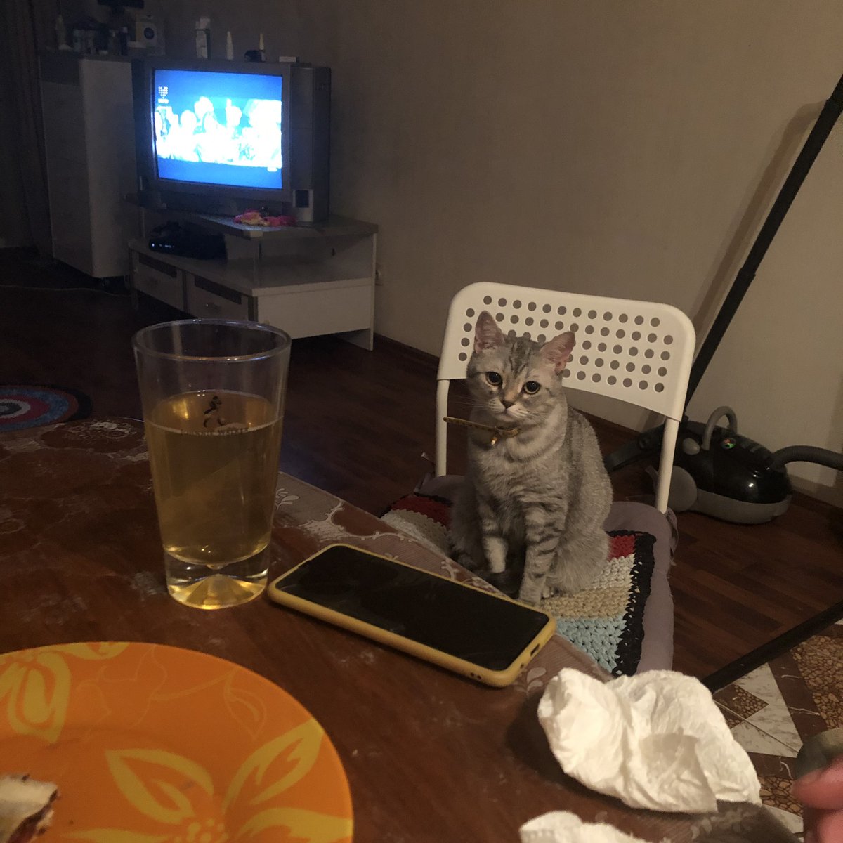 deineMelanchol's tweet photo. Не смотря на милое личико-алкоголичка https://t.co/8mRBZwG1oT