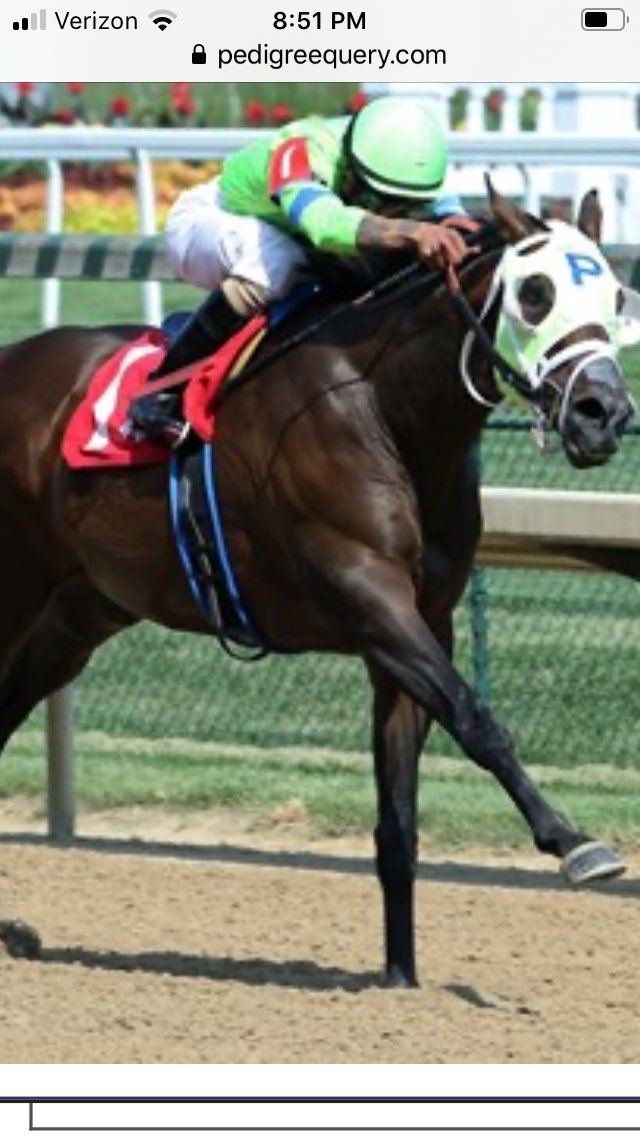 racingforhome's tweet photo. @bergenstables @Gatorkitten A Big Thank You to everyone donating in honor of Gator Posse♥️ Here’s our new boy coming next week! Like Gator, he too will have a long rehab for a bow Any guesses who he is? @Kimbchr no telling please 😍🐎#AddictedToRehab #BowsDoneRight #WelcomeHandsome https://t.co/o2i86VlWPx