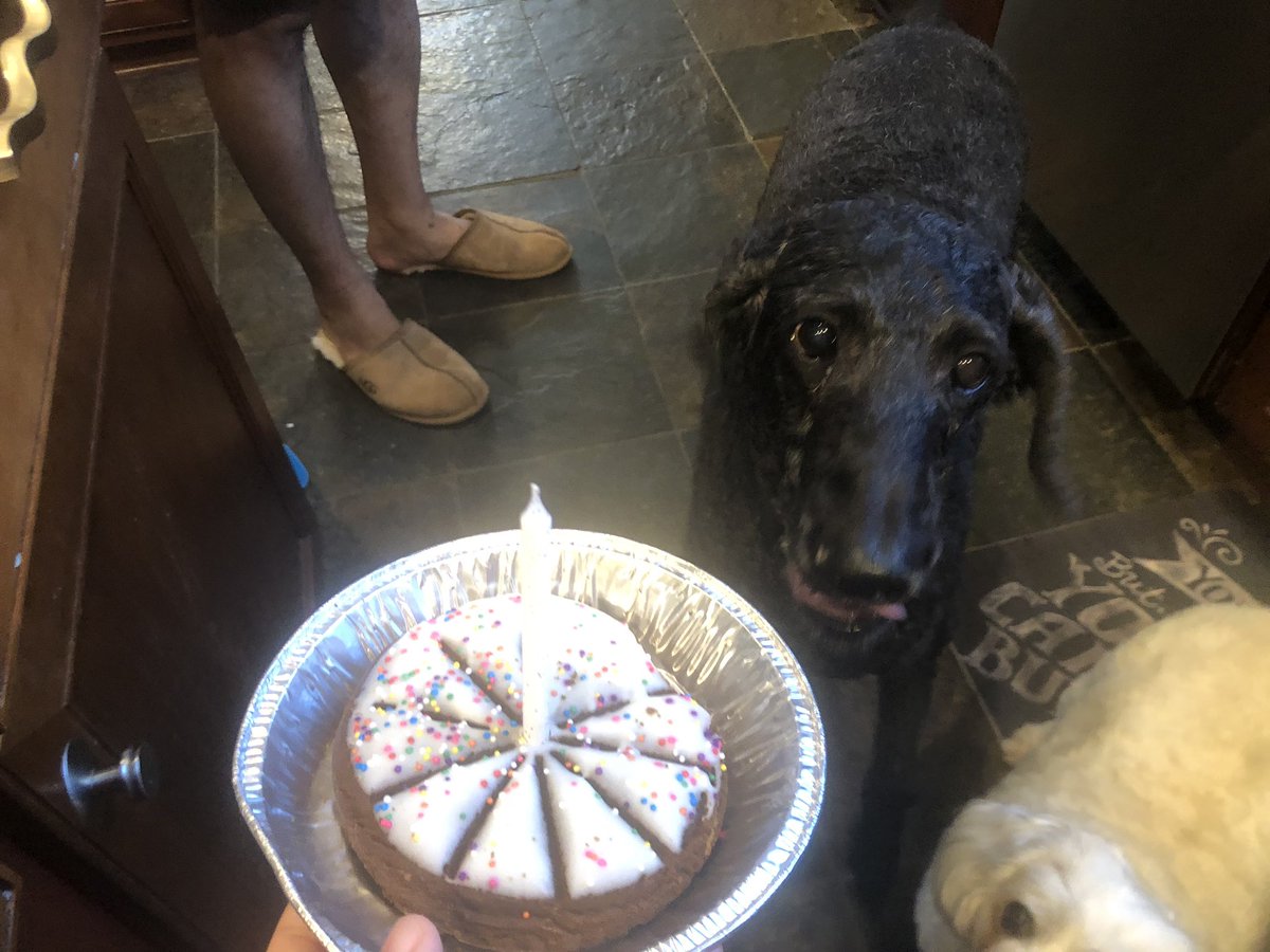 realaudriesmith's tweet photo. my doggies birthday is todah 👽👽👽 https://t.co/5XHDJEZJs4