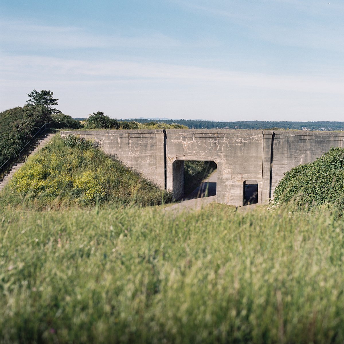 BrianDavidRobe1's tweet photo. A Fort Casey setting on Whidbey Island showcasing World War Two military bunker structures that are a blast to explore.

Hasselblad 501CM yank by my Wispy-Footed Gazelle...#whidbeyisland #virginiaroberts #hasselblad501cm https://t.co/cso1IHvi0K