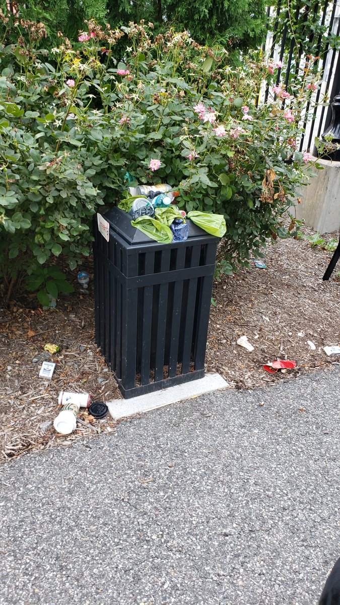 damienosc's tweet photo. @NorthBergen_NJ classic! North Bergen council "hey, let's make sure we clean up the bins at least every 3 months". All council members "OK, maybe we just take the taxes and waste it on anything but sanitation..and roads...and schools..." https://t.co/iYsNc4N7rm