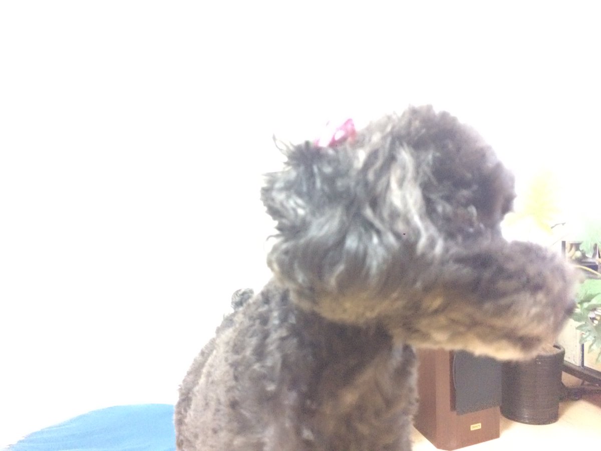 hakotto1's tweet photo. こんなじゃない。本当にそうでしょうか？ https://t.co/E47Kmtt15z