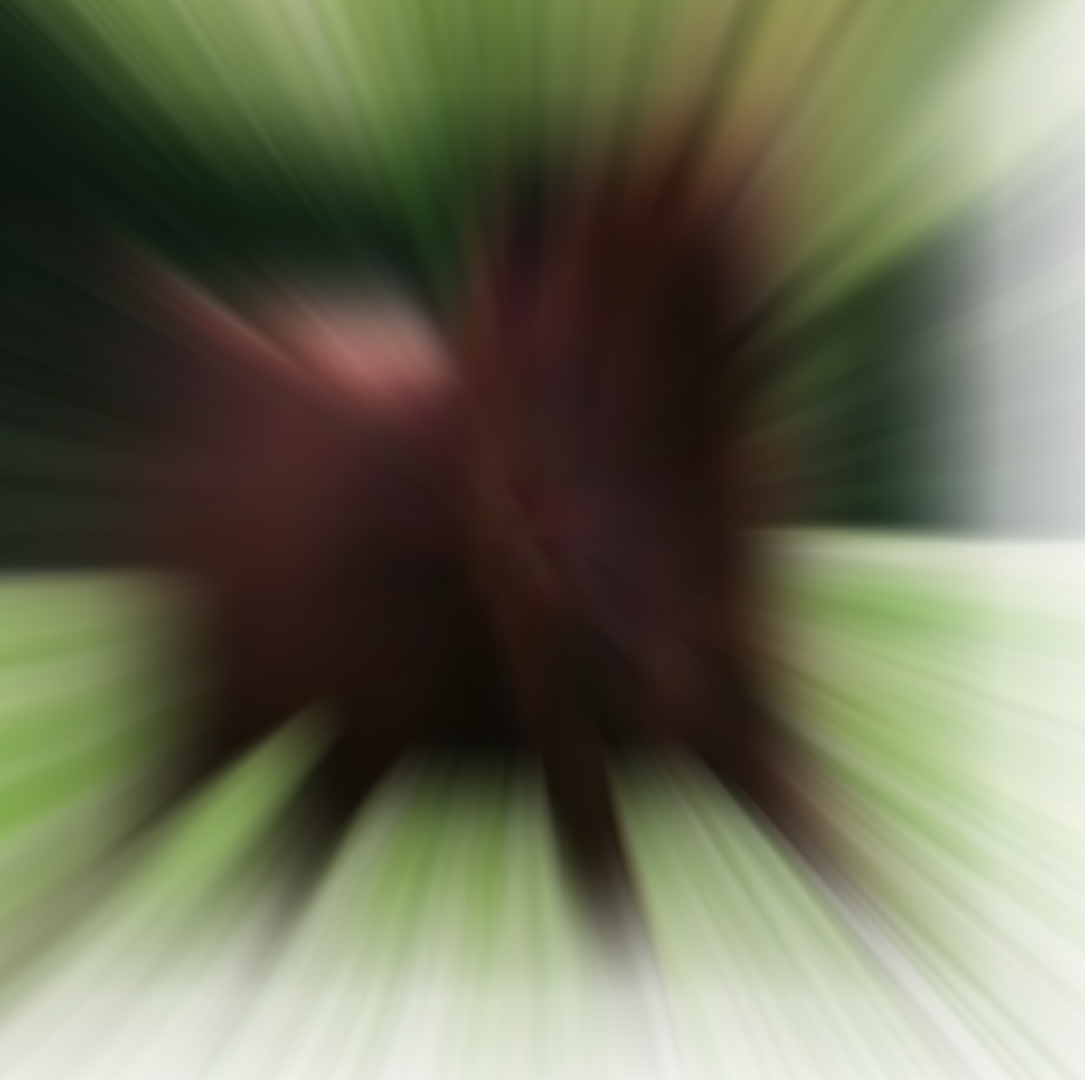 BeBoopToTheTop's tweet photo. Y'all ever radically blur an image and it gets funnier and funnier? https://t.co/COak9uWB6j