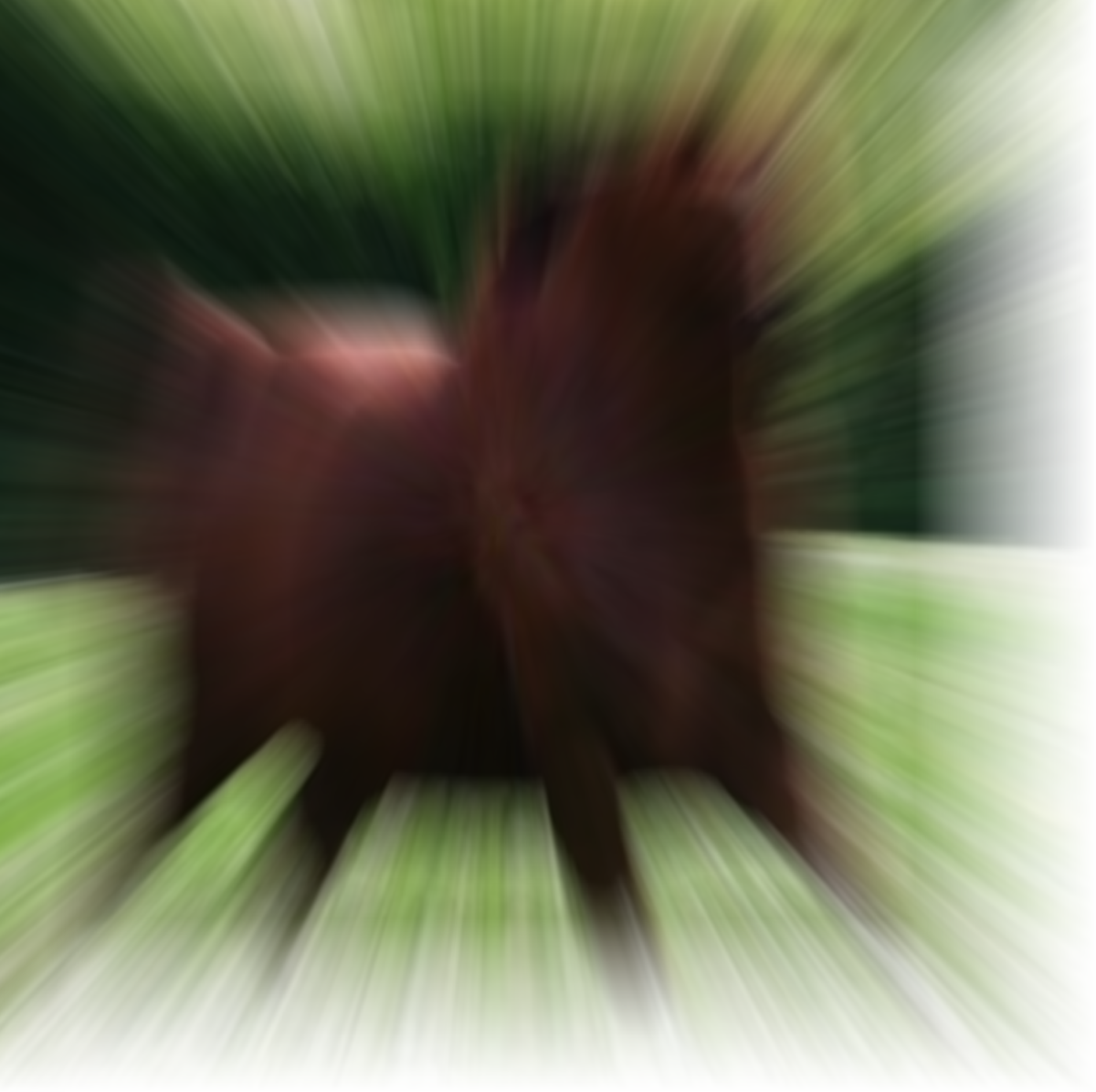 BeBoopToTheTop's tweet photo. Y'all ever radically blur an image and it gets funnier and funnier? https://t.co/COak9uWB6j