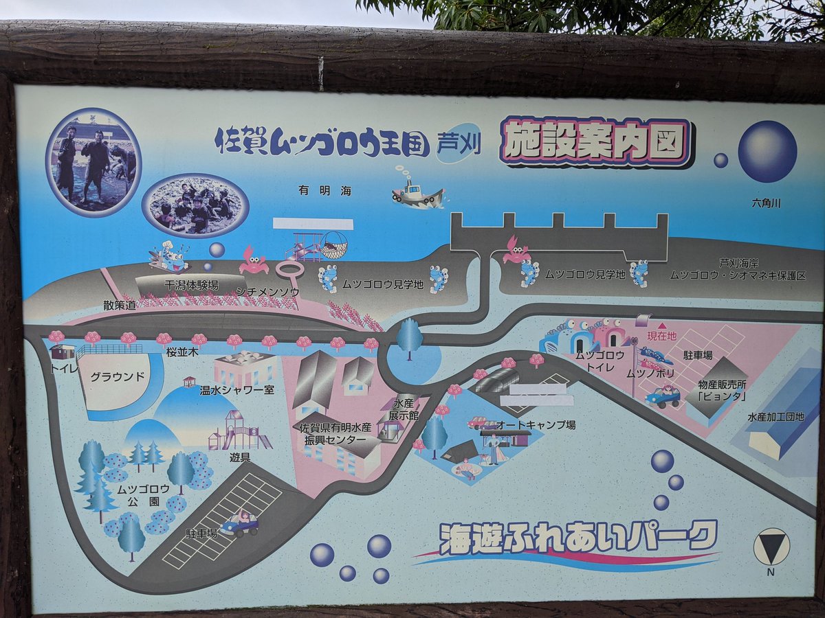 芦刈 Twitter Search