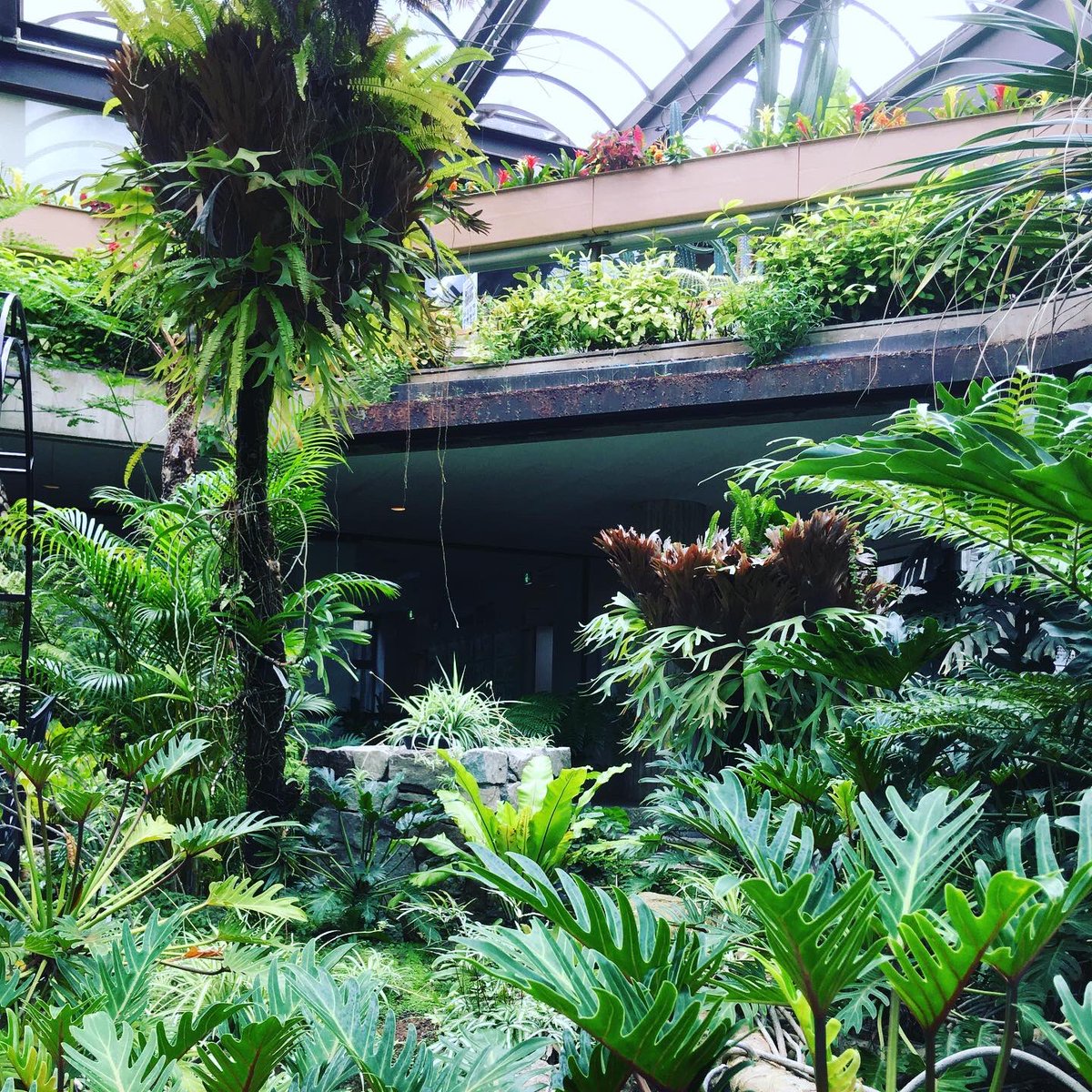UnionHeart's tweet photo. 雨の隙間に勉強がてら植物園に行ってきました♫
場所は大阪府豊中市にあります『服部緑地植物園』です(*´꒳`*)
見たことない花や樹木がたくさんあってテンションあがりました♫
係の方やお客さんとお話してアドバイスをもらい、とても有意義な時間で楽しかったです♫
また行きますね(o^^o) https://t.co/t1DjnBf76t