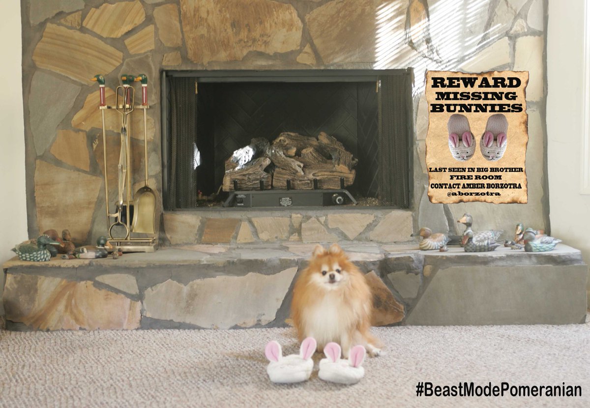Codebear2's tweet photo. I hope @amberborzotra doesn't need her Bunny slippers while she is in the Big Brother house. Bear may have to give them up. #BB22 https://t.co/k6rHmJl3WL