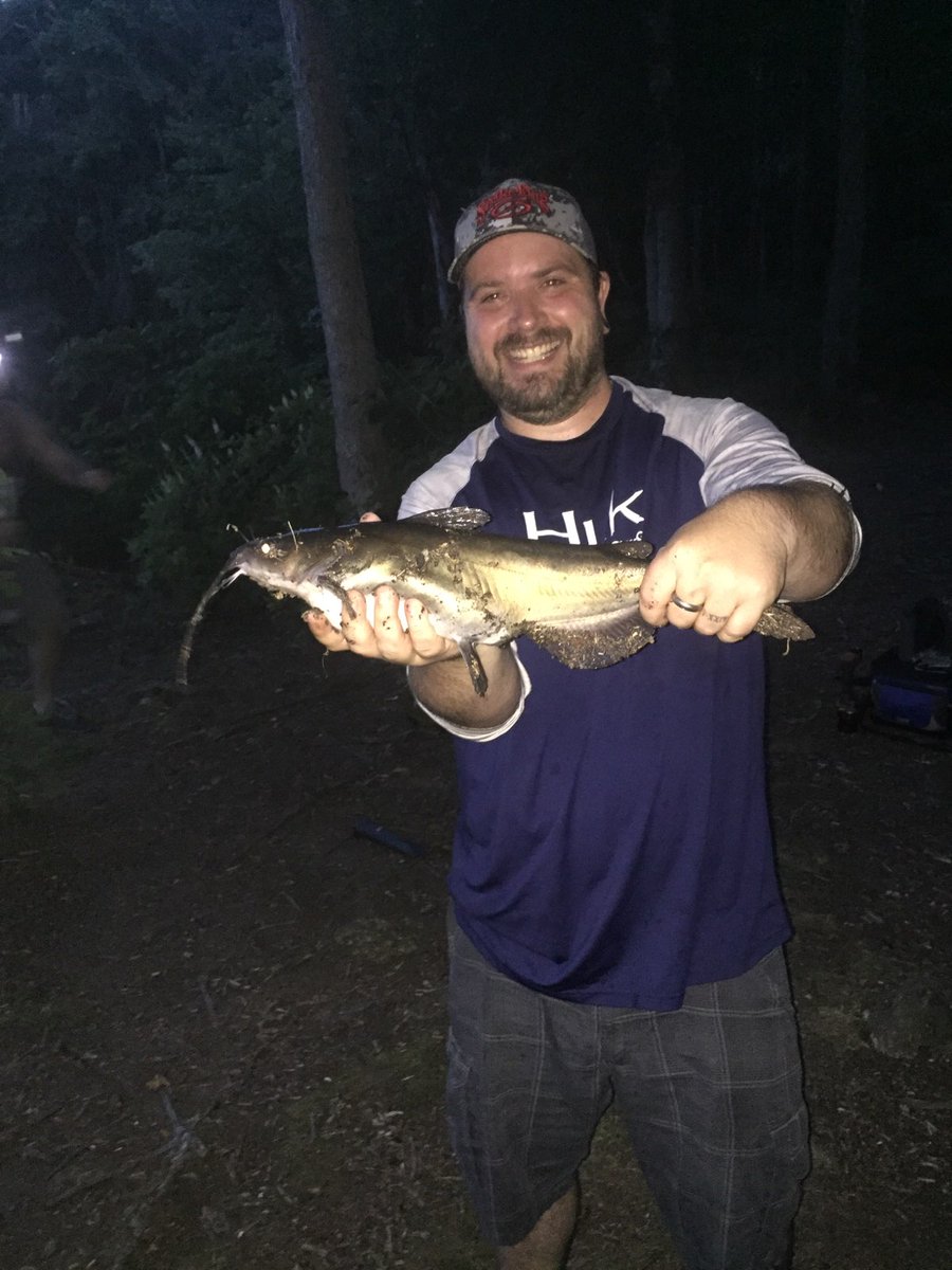 ricksox's tweet photo. On them cats! #ReleasedSafely https://t.co/bDCj58ypH3