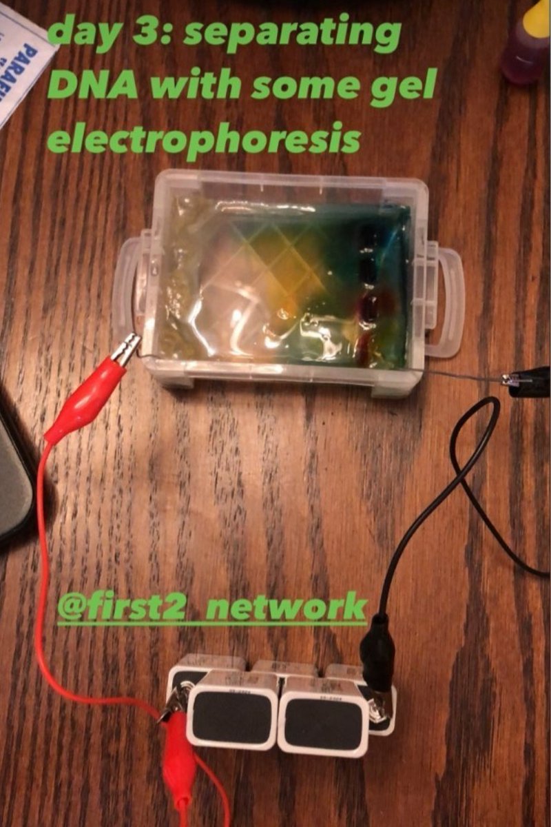 First2Network's tweet photo. Our students from Summer Immersion virtual program are performing the Gel Electrophoresis (separating and analyzing macromolecules and their fragments) right from their home!
#First2Network #STEM #STEMeducation #firstgen #WVSTEM #WestVirginia #science #EducationWithCOVID https://t.co/UanmZnDZcA