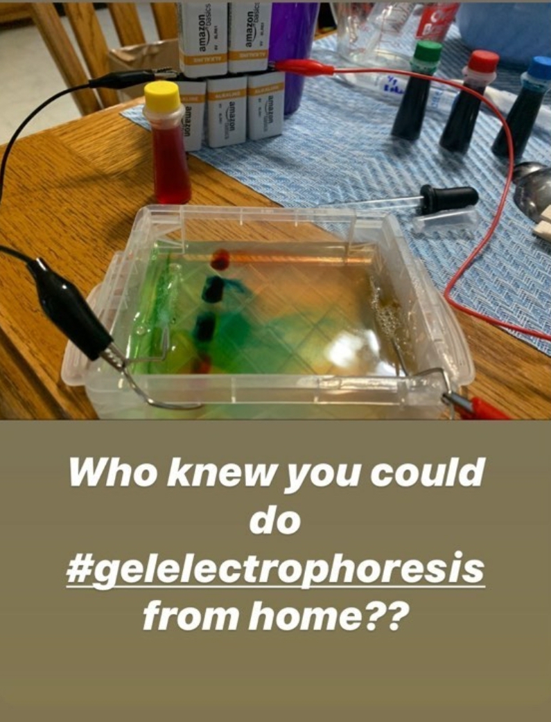 First2Network's tweet photo. Our students from Summer Immersion virtual program are performing the Gel Electrophoresis (separating and analyzing macromolecules and their fragments) right from their home!
#First2Network #STEM #STEMeducation #firstgen #WVSTEM #WestVirginia #science #EducationWithCOVID https://t.co/UanmZnDZcA