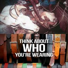 Vidyakailankaje's tweet photo. No justifications can justify the cruelty behind the Leather fancy outfit.!

Think about the Pain of GouMatha &amp; Say No To  Leather

#AmbaCalling to Stop Slaughtering 

Give Up Leather n get alternative materials for fancy wear and protect Indigenous Cow breed
-@BharatSpandan https://t.co/TBErXPiIPT