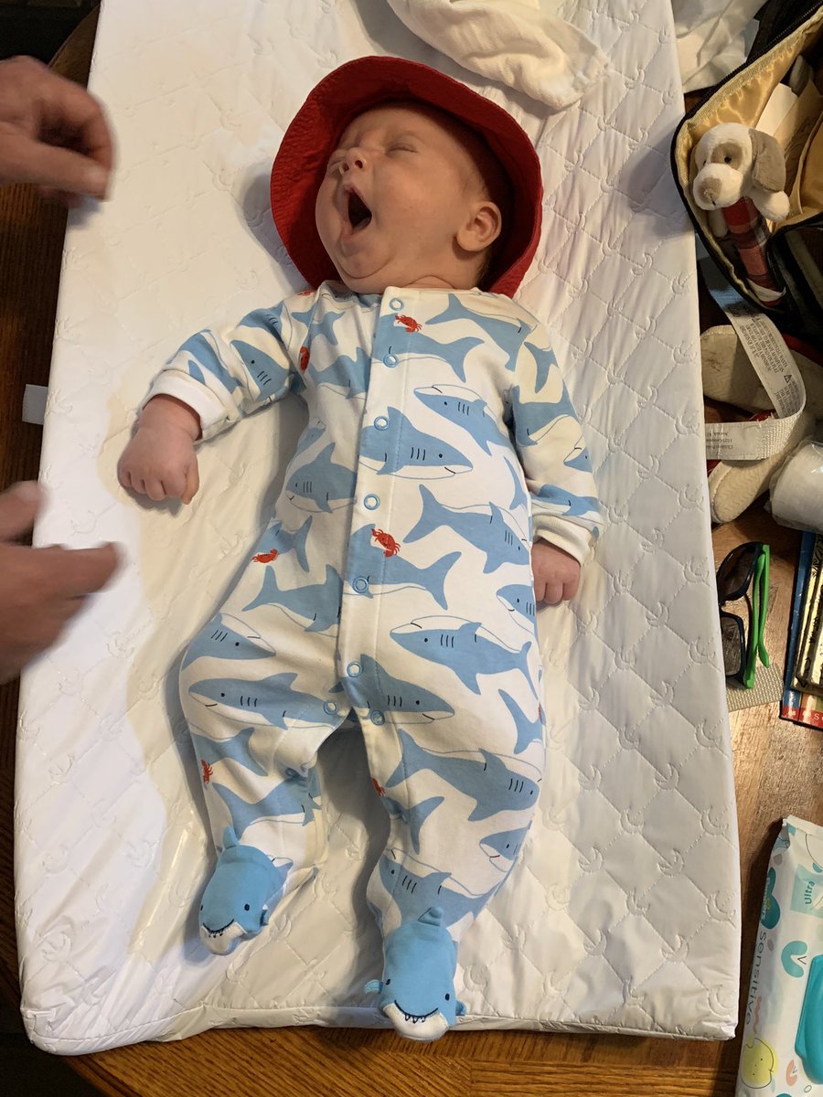 itsbrit_clem's tweet photo. So obsessed with my baby boy😍
Can’t believe he’s all ours. 🥰 @Regnid3125 https://t.co/iNRziK6cIX