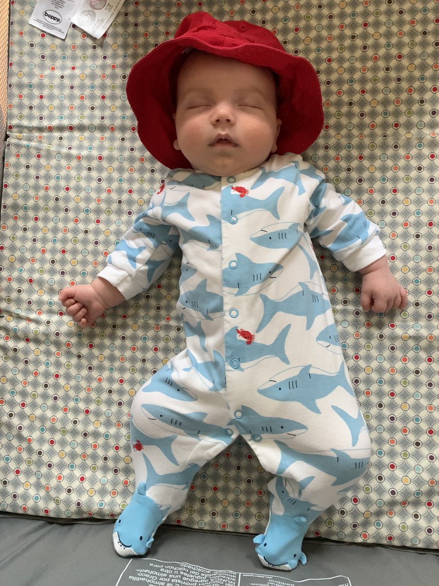 itsbrit_clem's tweet photo. So obsessed with my baby boy😍
Can’t believe he’s all ours. 🥰 @Regnid3125 https://t.co/iNRziK6cIX