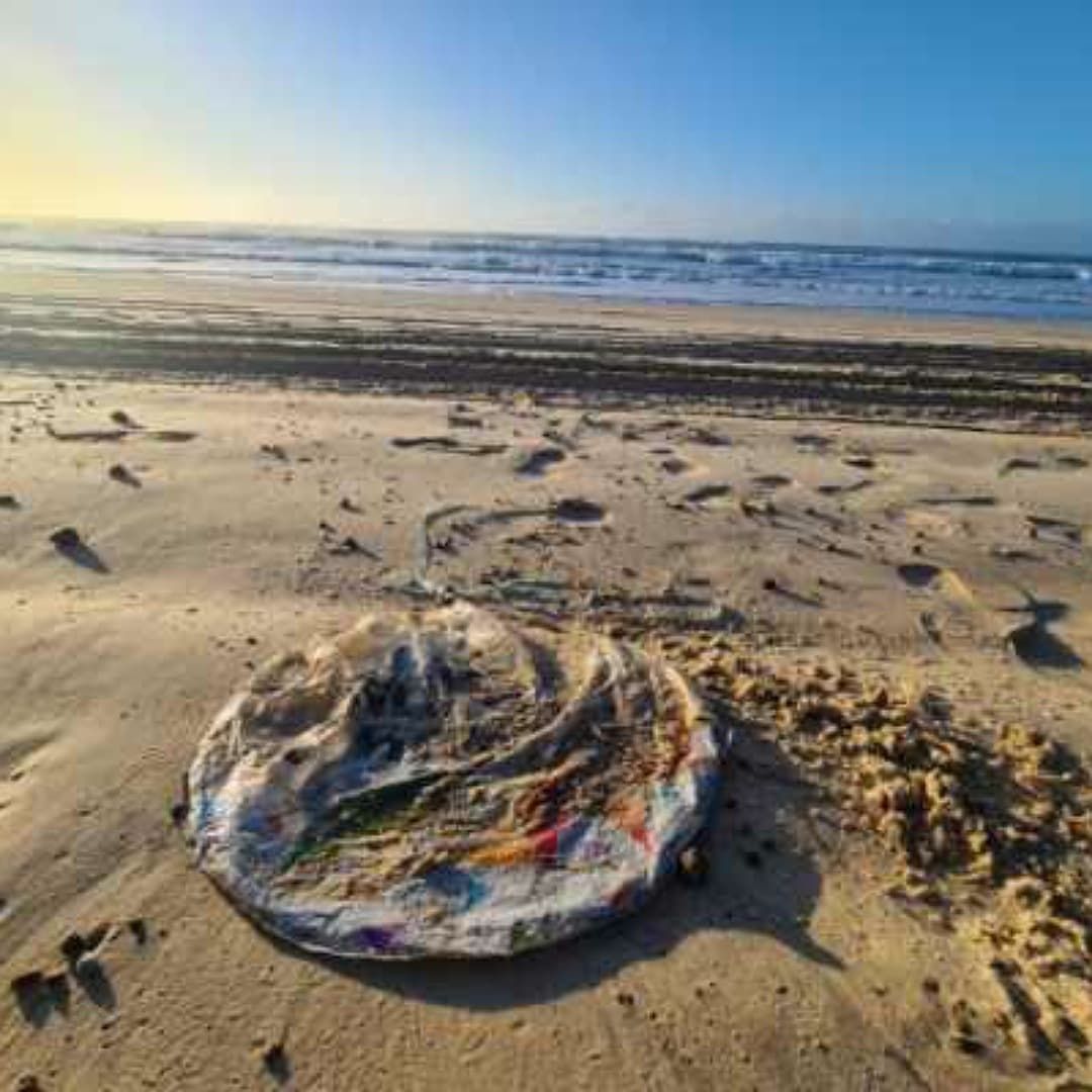 A friend of mine is an absolute legend at finding balloons on beaches ..  I am so grateful for her beach walks which protect so many animas from death by entanglement, float syndrome, and choking. 

#rubberjellyfish #balloonsblow #beachwalks #marinedebris #plasticpollution
