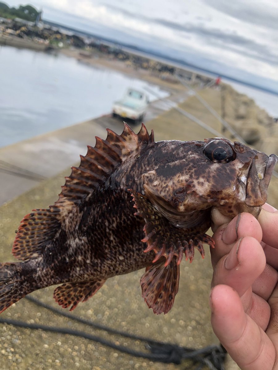 kurfc_out's tweet photo. ラグビー部アウトドアサークル
釣りしてます🎣 https://t.co/459QuZcRKi