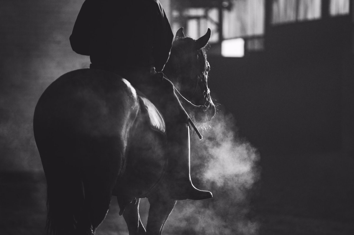 GooreeStud's tweet photo. The top class pre-training and spelling complex has been utilised for Gooree’s private thoroughbred operation for many years but is now opened up to outside clients.
#gooree #thoroughbreds #pretraining #horseracing https://t.co/19iOQWfHEw
