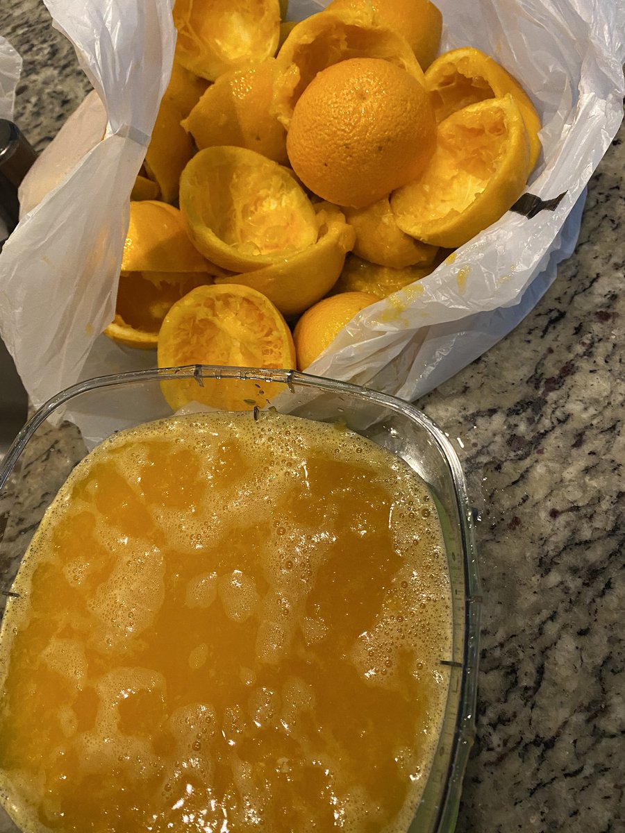 kaburch1981's tweet image. I had a lot of extra oranges and made juice. There are 24 orange 1/2s in the bag. I was able to fill this measuring cup 2 1/2 times. About how much juice came from each whole orange? #relevantmath @BrookeMorphew17 @ProsperISD
