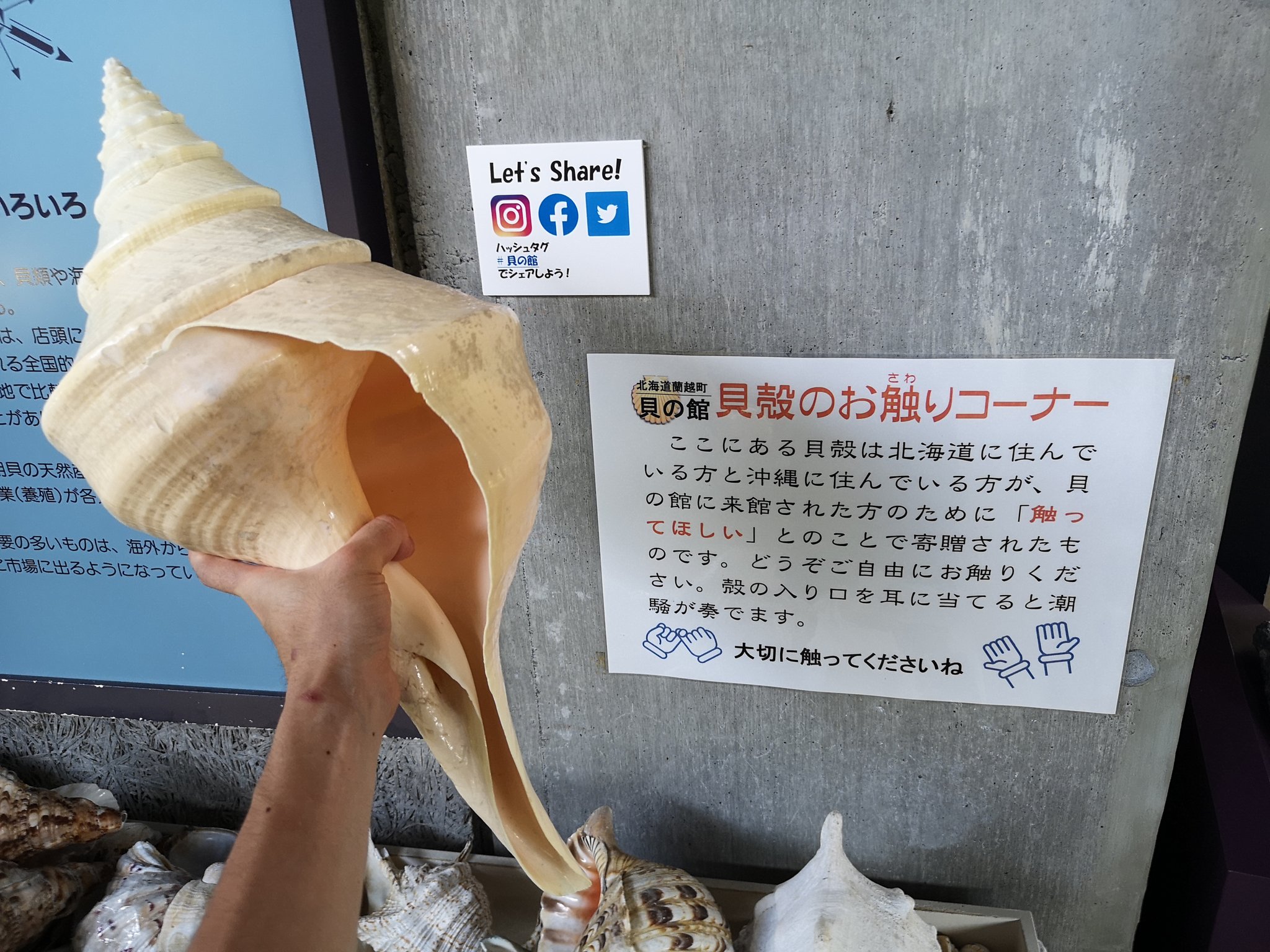 おく on X: おく on X:
