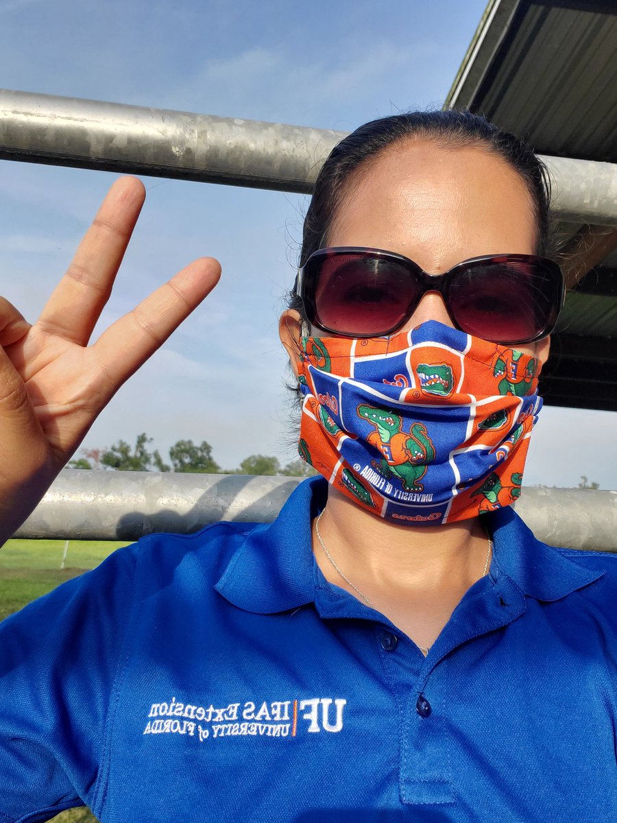 GelaGonella's tweet image. Fantastic team! Fantastic science! NFREC repro lab, NFREC nutrition lab, and UF-Animal Science working together! #reprorocks #reproscience #UF