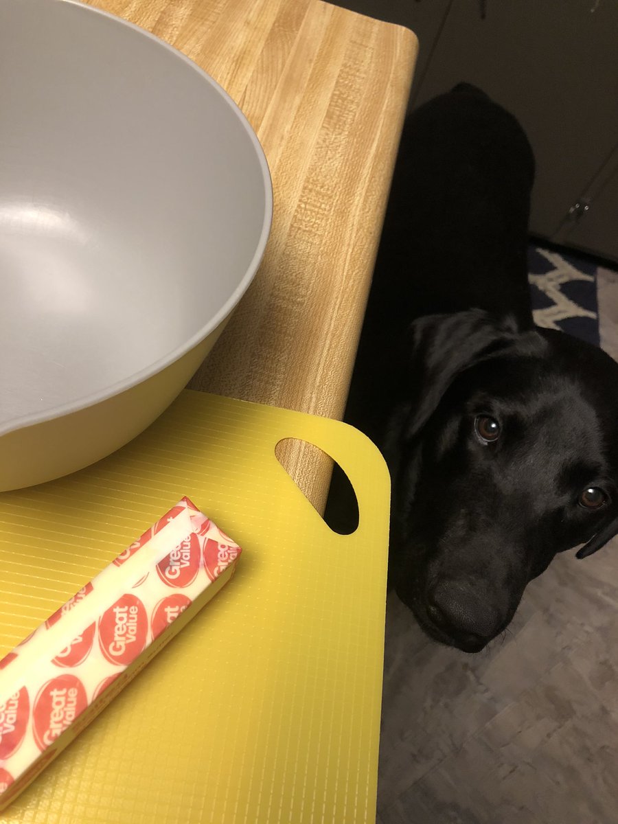 srbesson's tweet photo. @JJWatt My dog is obsessed with butter. He’s jumped up on the counter and gotten a stick of butter at least three times before I could stop him!! He knows what it looks like and will sit and stare while I use it. https://t.co/JvUnj2Ym1Q
