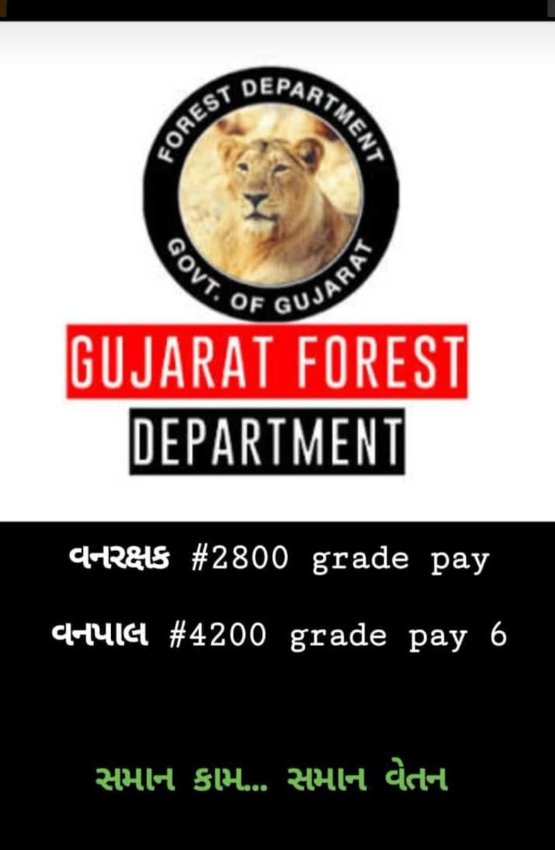 #2800_forestguard
#4200_forester
<a href="/narendramodi/">Narendra Modi</a>
<a href="/vijayrupanibjp/">Vijay Rupani Memorial</a>
<a href="/ADevvrat/">Acharya Devvrat</a>
<a href="/Ganpatsinhv/">Ganpatsinh Vasava</a>
<a href="/HoffPccf/">PCCF & HoFF, Gujarat State</a>
<a href="/GujForestDept/">GujaratForestDept</a>
<a href="/dineshdasa1/">Dr. Dinesh Dasa</a>
<a href="/VtvGujarati/">VTV Gujarati News and Beyond</a>
<a href="/abpasmitatv/">ABP Asmita</a>
<a href="/isudan_gadhvi/">Isudan Gadhvi</a>
<a href="/EtvGujaratiNews/">Etv News Gujarati</a>