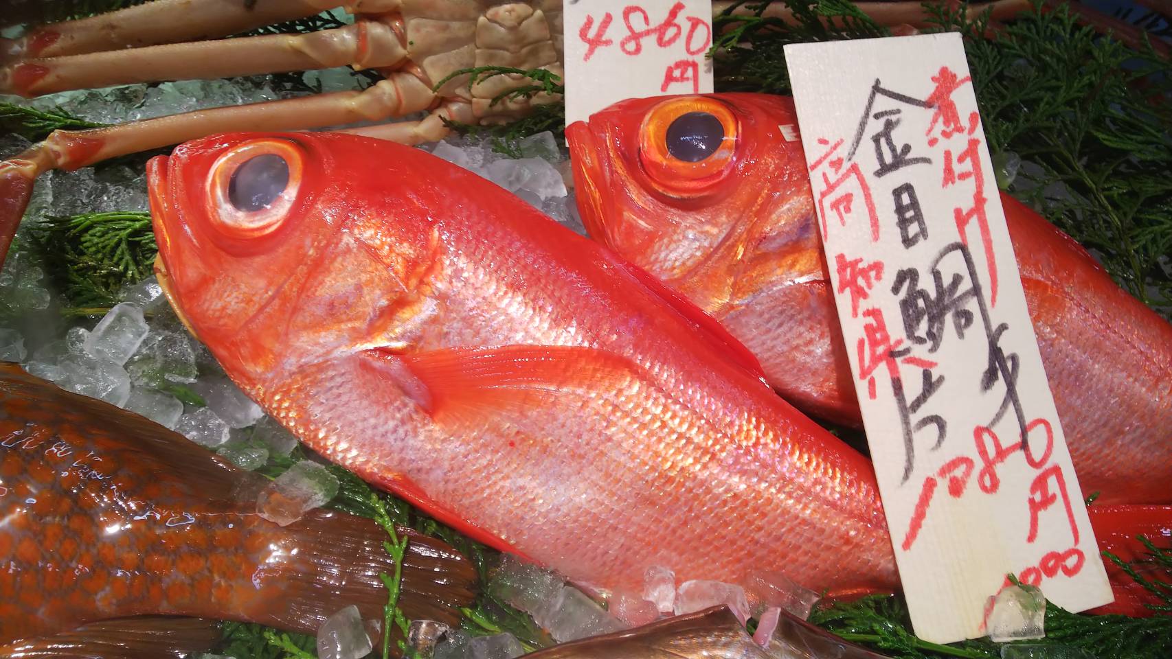 画像 元気ですかーッ 魚忠三越星ヶ丘店イチオシは 煮魚特集 ッ 青森県産 キンキ 宮城県産 ナメタガレイ 長崎県産 キジハタ そして最後は高知の金目鯛ぜよ ッ Matomehub まとめハブ 画像 元気ですかーッ 魚忠三越星ヶ丘店イチオシは 煮魚特集 ッ 青森県産 キンキ 宮城県産 ナメタガレイ 長崎県産 キジハタ そして最後は高知の金目鯛ぜよ ッ Matomehub まとめハブ
