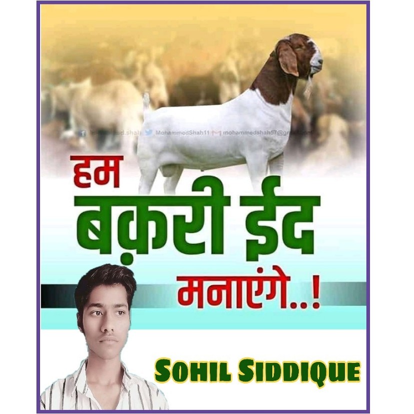 sohilsiddique_'s tweet photo. #हम_बकरी_ईद_मनाएंगे https://t.co/QtobfGc0jU