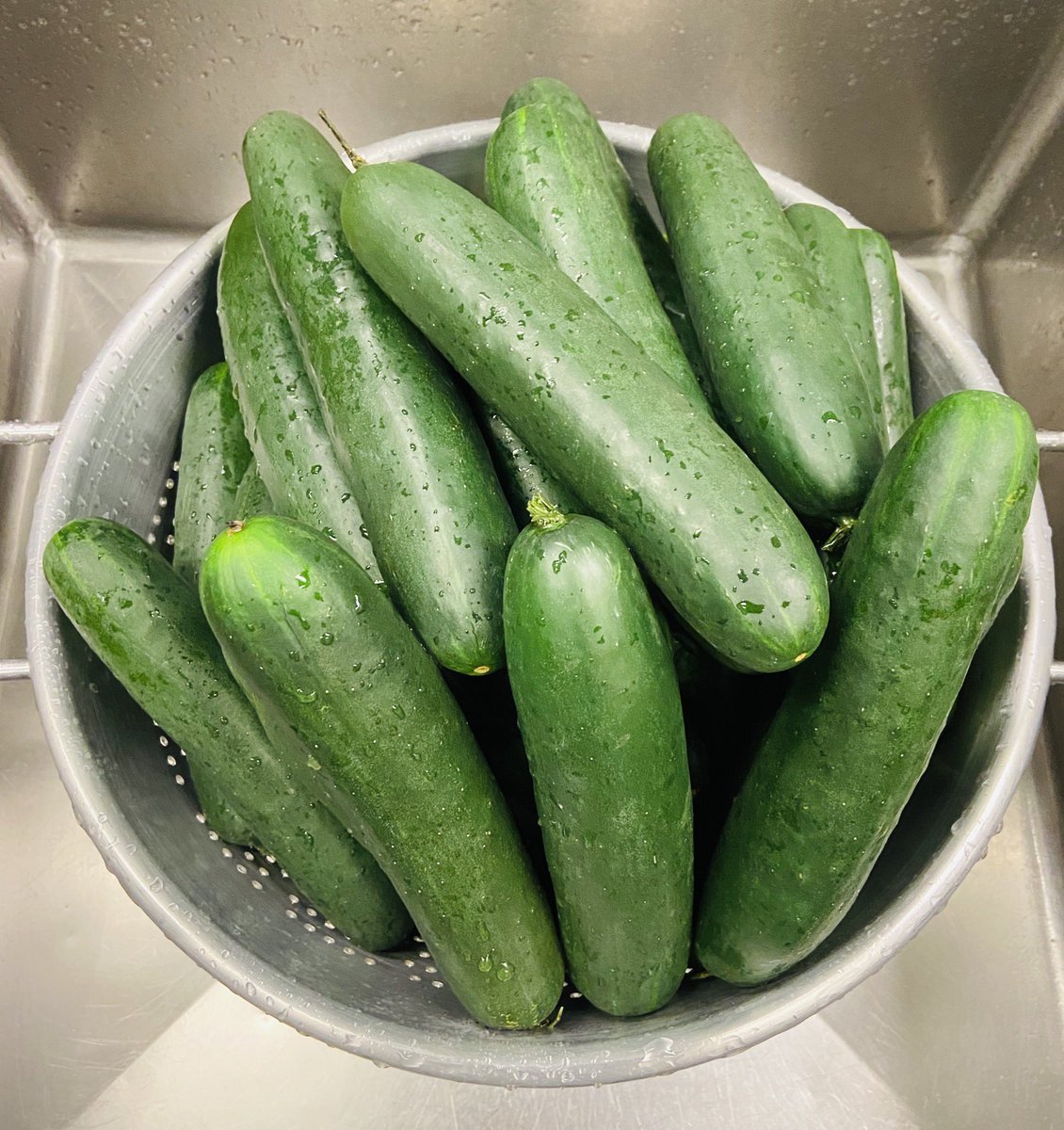 popifypops's tweet photo. Guess who is bringing back cucumber lime pops! These organic cukes smell amazing! https://t.co/48nUxrYKem