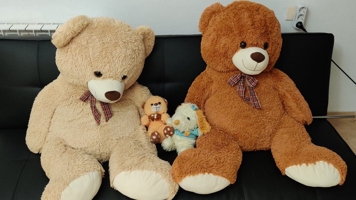 Stuffed AnimalsNames (from left to right): Ricardo "Ricky" Antonio, Sebastian, Clotie, Charles "Charlie" Finn. They have ridiculous names, I know.