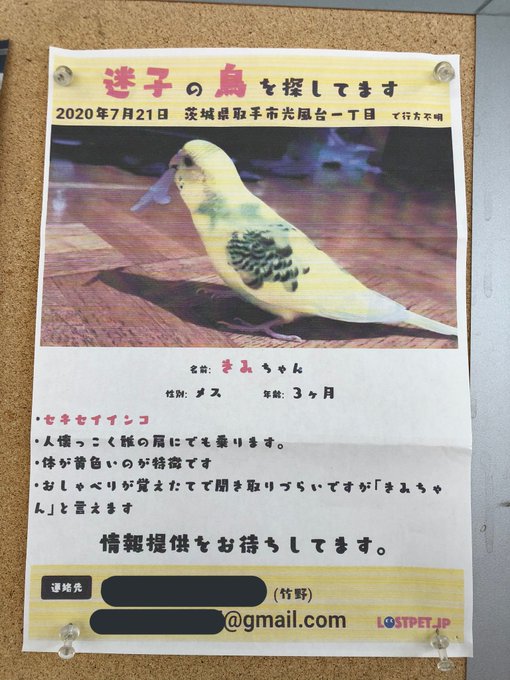 たけのさん の最近のツイート 1 Whotwi グラフィカルtwitter分析