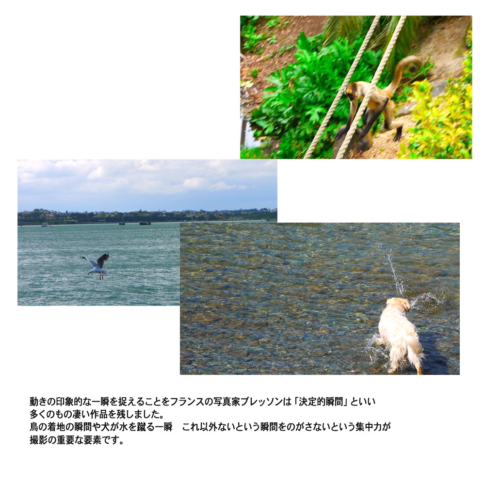 写真を使ったレイアウト講座 